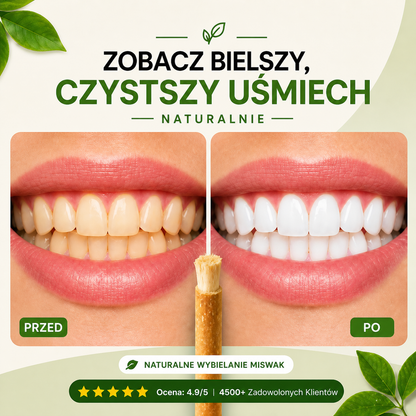 Frova Patyk Miswak